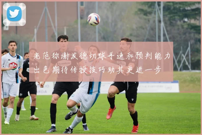 老范称谢泼德切球手速和预判能力出色期待传授技巧助其更进一步