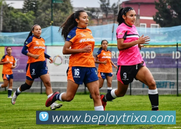 beplay体育平台生态图